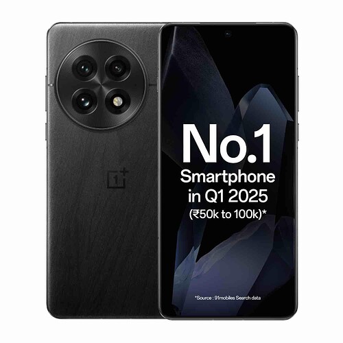 OnePlus 13