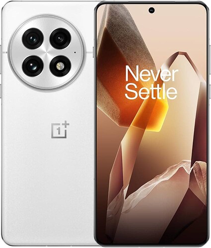 OnePlus 13