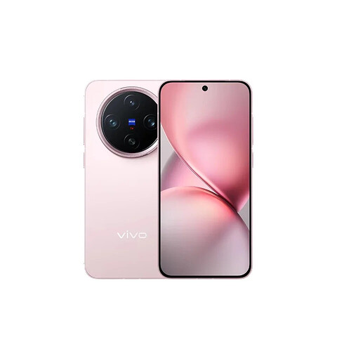 Vivo X200 Pro mini