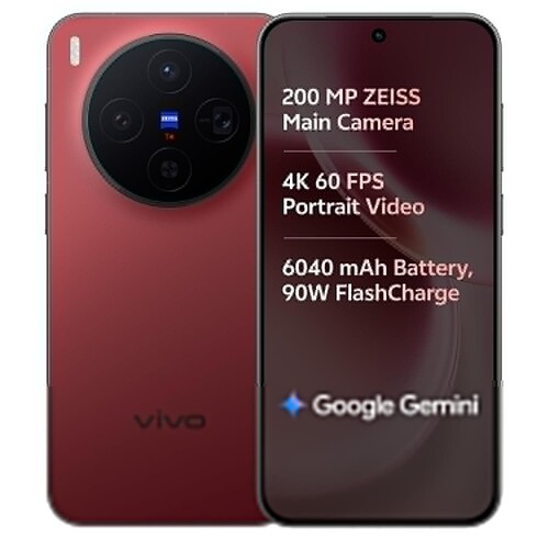 Vivo X300