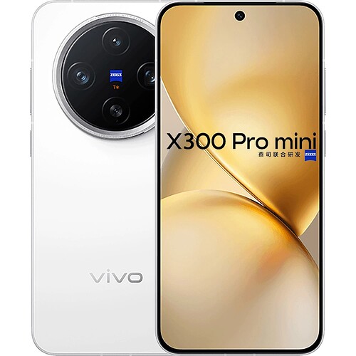 Vivo X300 Pro Mini