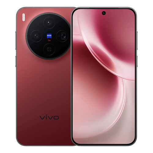 Vivo X300