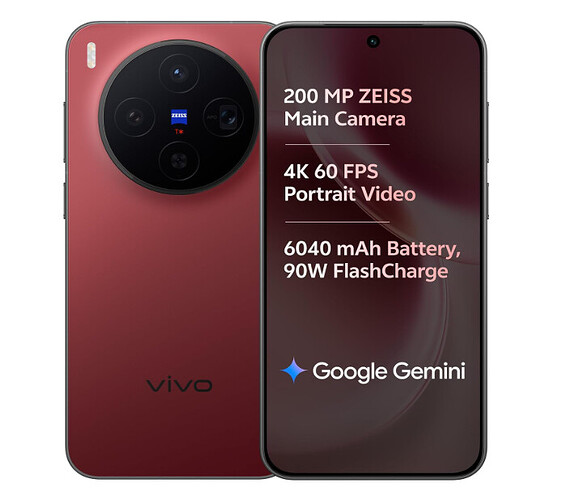 Vivo X300