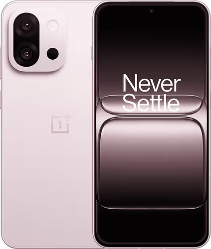 OnePlus 13T